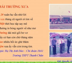 10-a1-mai-truong-sua.jpg